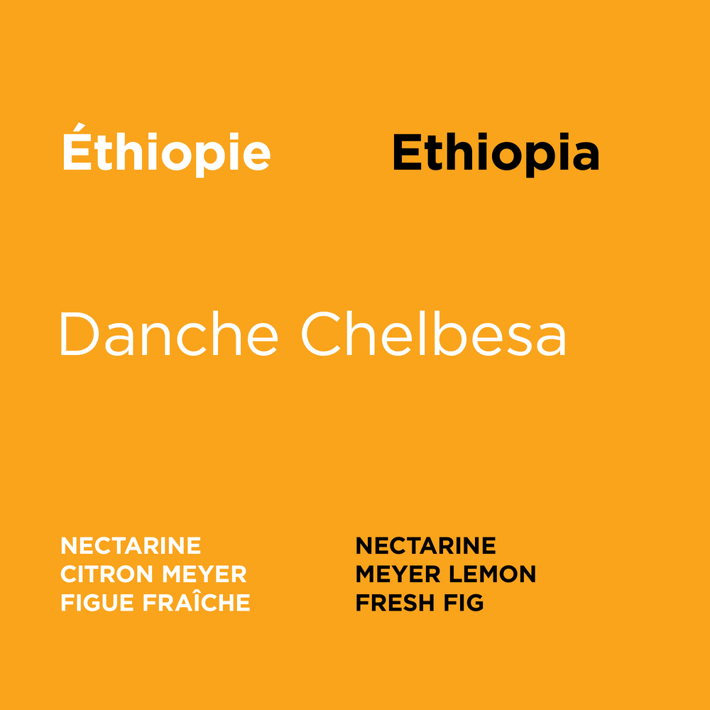 Éthiopie - Danche Chelbesa