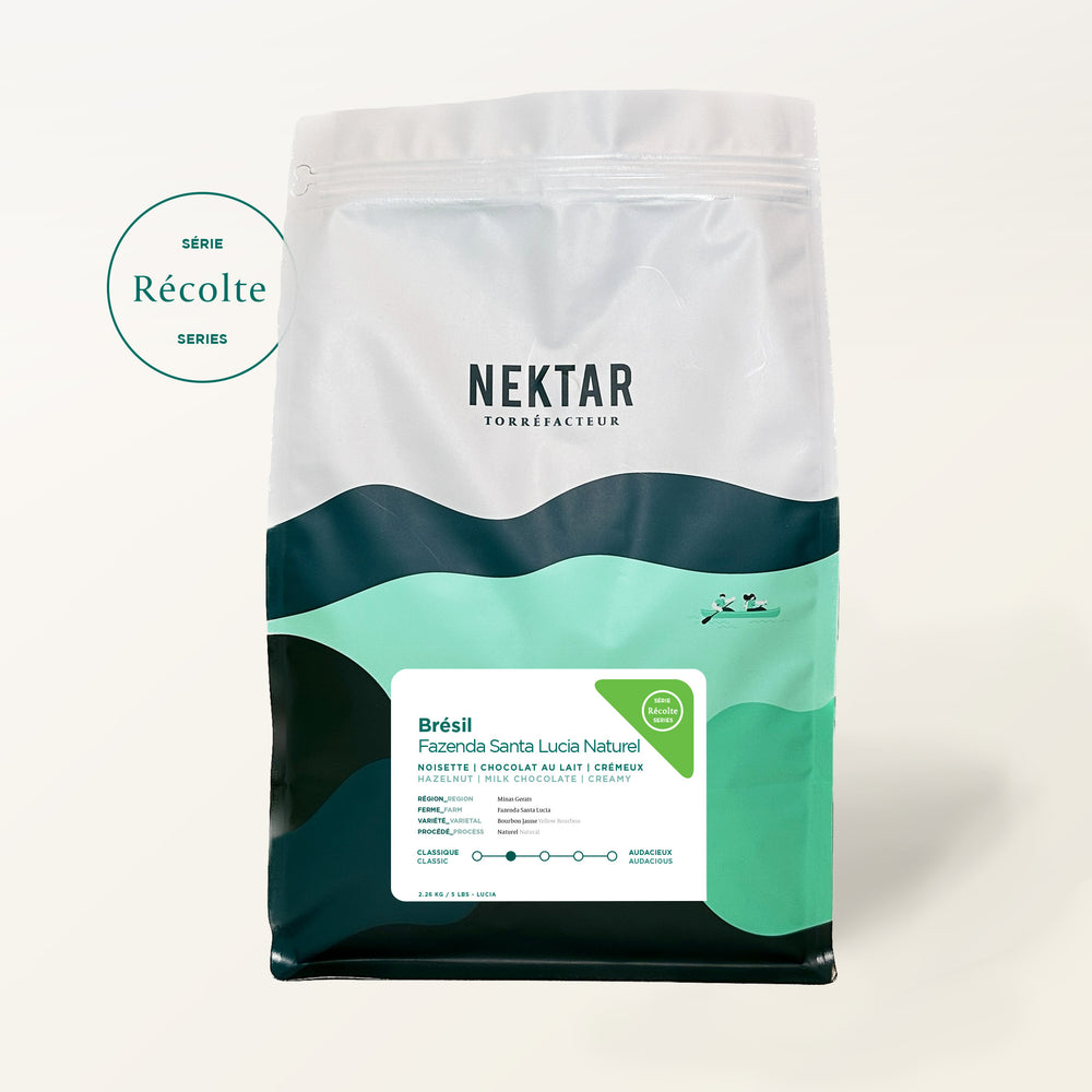 Brésil - Fazenda Santa Lucia Naturel