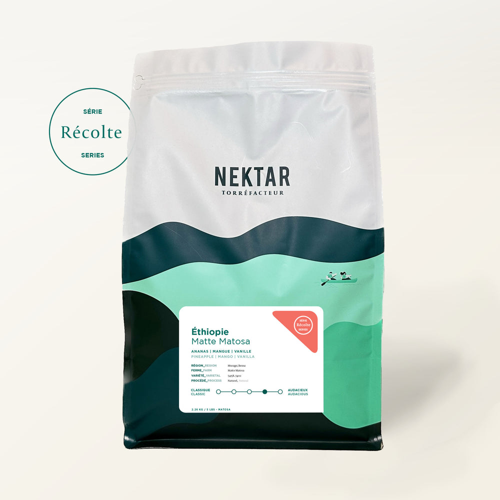 Éthiopie - Matte Matosa Naturel