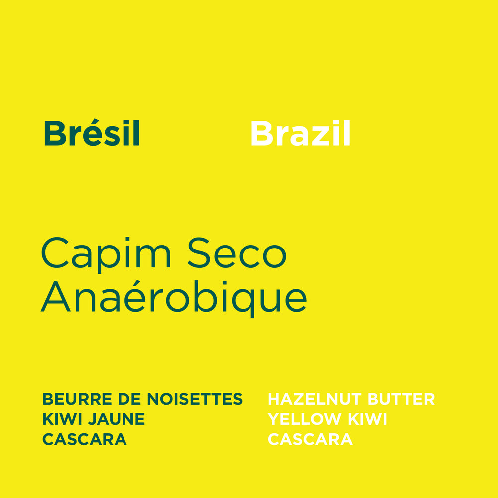 Brésil - Capim Seco Anaérobique