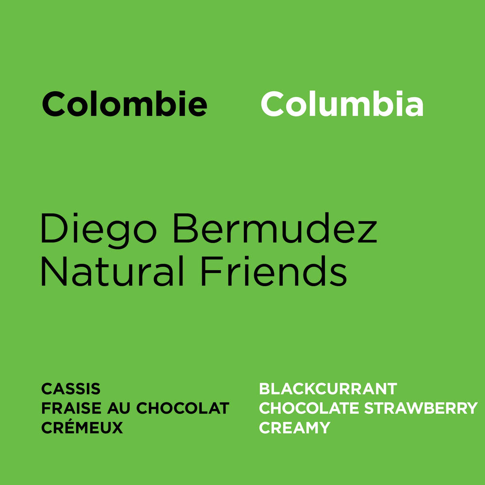 Colombie - Diego Bermudez Natural Friends