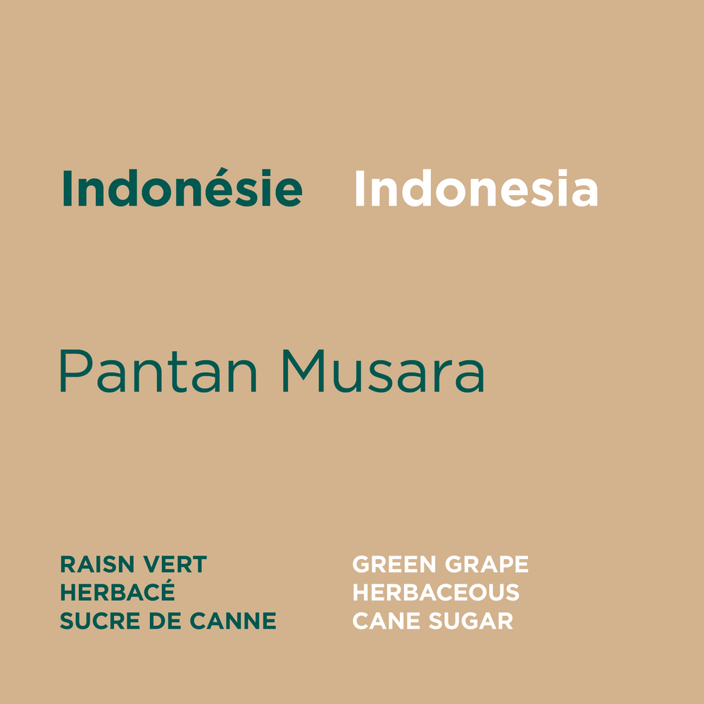 Indonesia - Pantan Musara