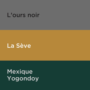 Trio classique - ensemble de 3 cafés