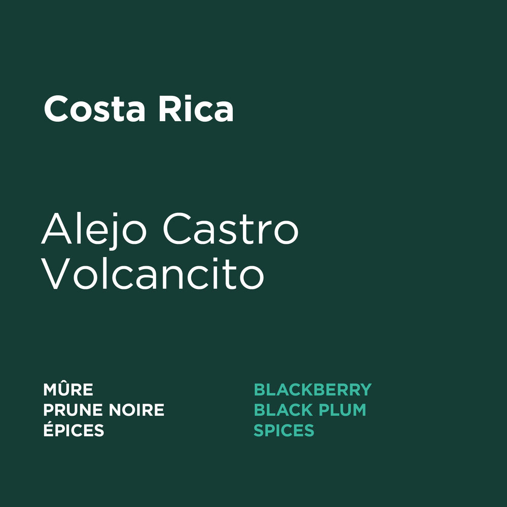 Costa Rica - Alejo Castro Volcancito