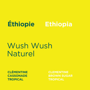 Ethiopia - Wush Wush Natural