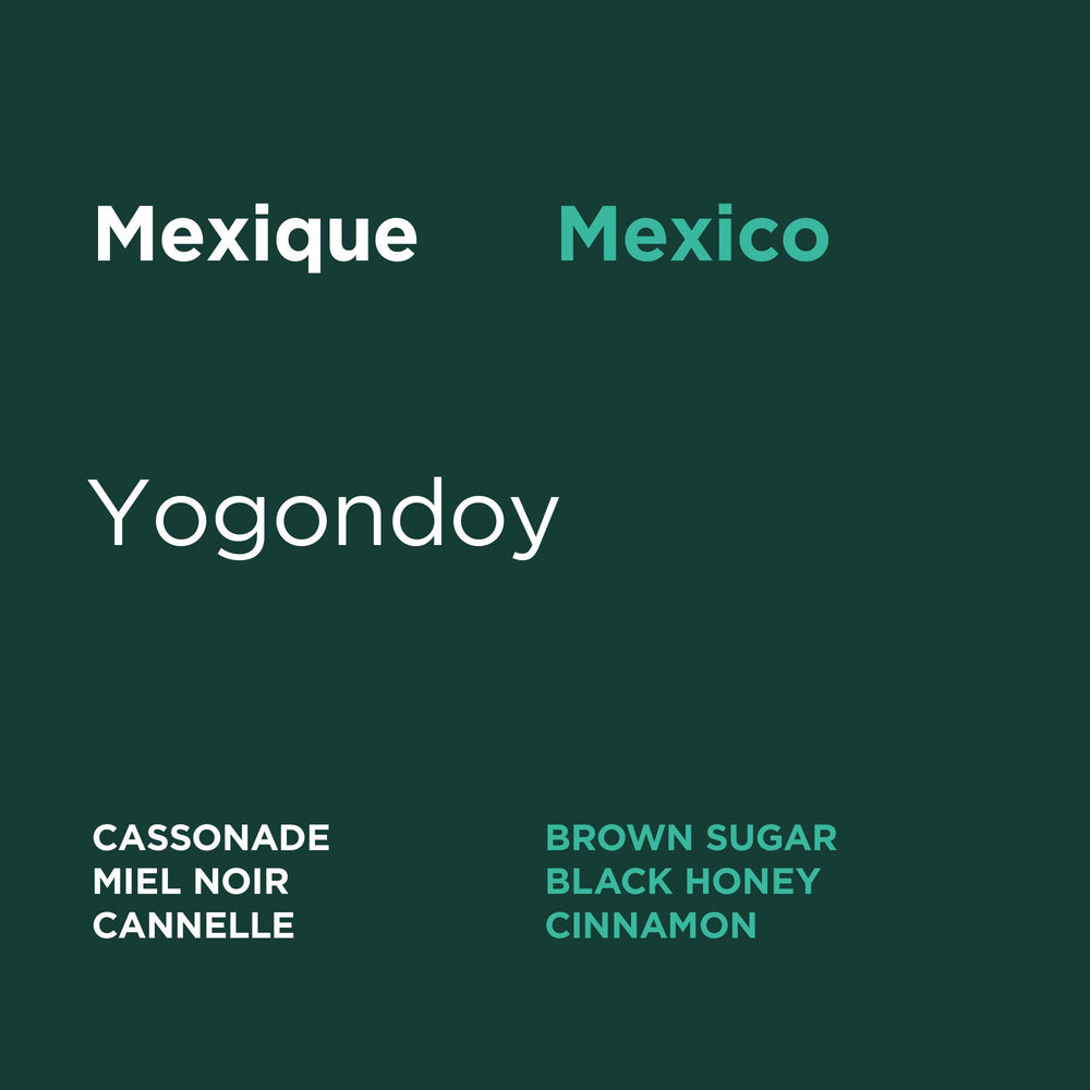 Mexique - Yogondoy