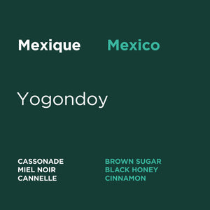 Mexico - Yogondoy