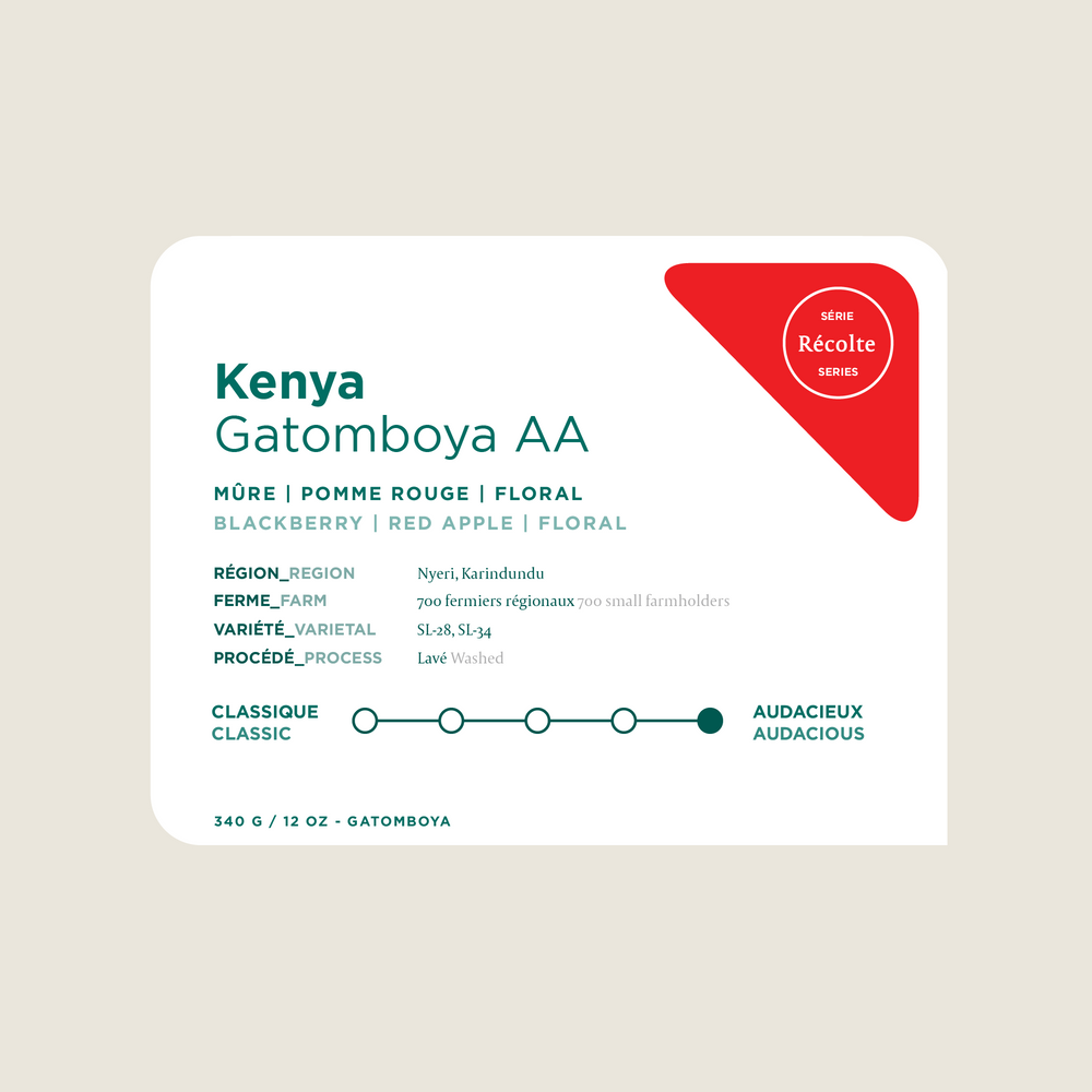 Kenya - Gatomboya AA