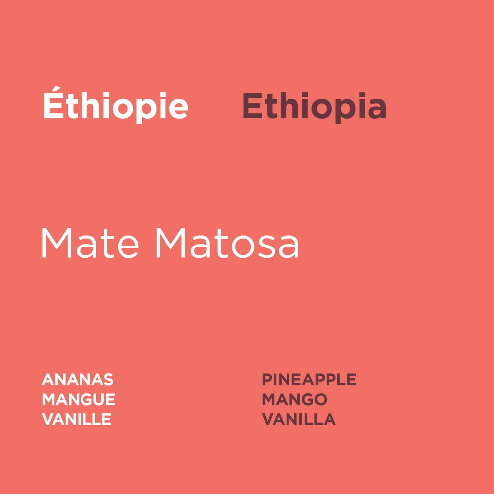Éthiopie - Matte Matosa Naturel