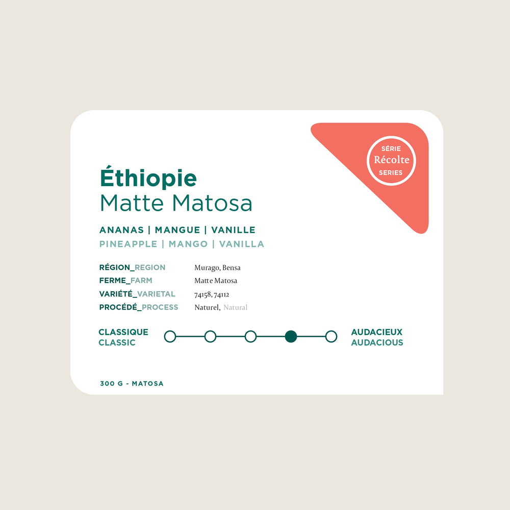 Éthiopie - Matte Matosa Naturel